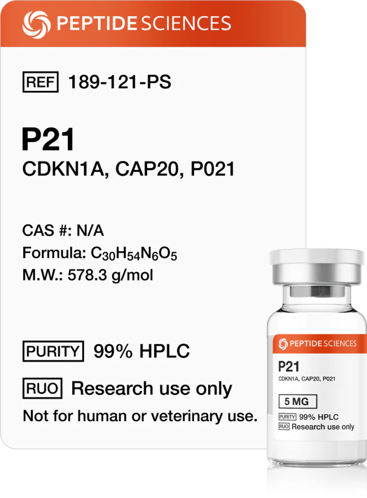 p21_peptide.webp P21 (P021) 5mg - Image 1