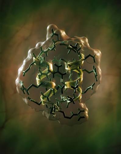 Peptide Science Ballina